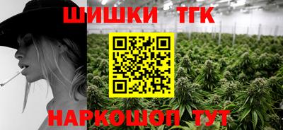 молекула духа Будённовск