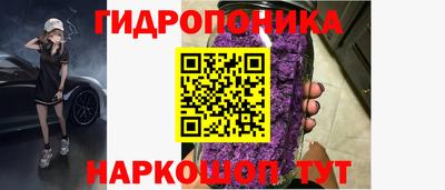 молекула духа Будённовск