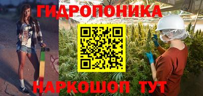 молекула духа Будённовск