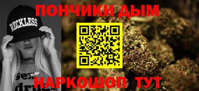 молекула духа Будённовск