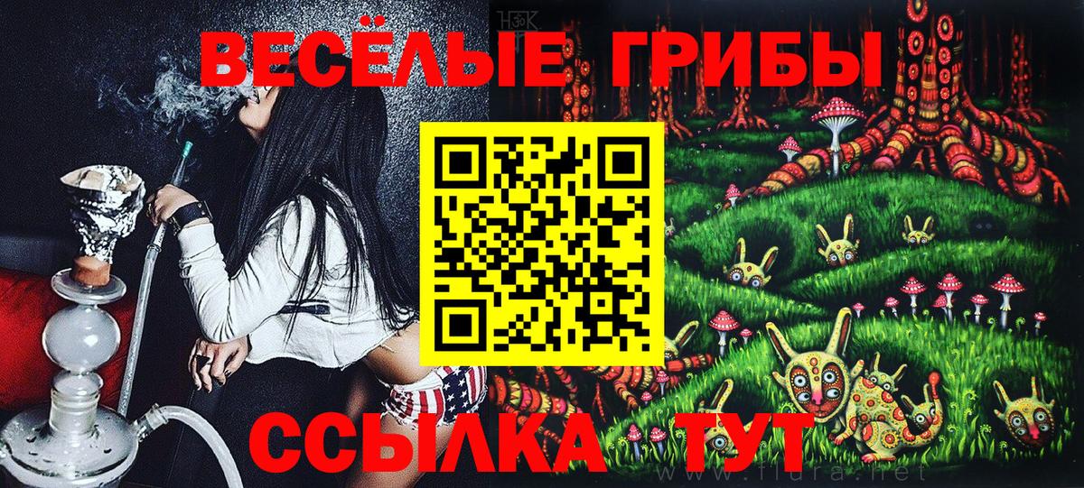 Баксан  наркошоп  Вход с VPN  Псилоцибиновые грибы мухоморы  Галлюциногенные грибы MAGIC MUSHROOMS 
